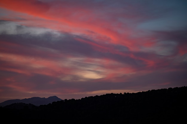 Foto grátis arranjo das cores vermelho, violeta e azul quando as vejo