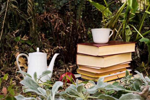 Arranjo de temporada de outono vista frontal com livros e bule de chá