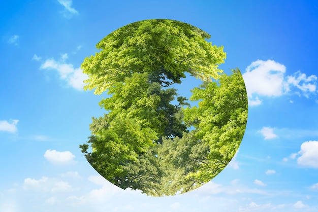 Foto grátis Árvores gráficas do dia da terra em forma de círculo de globo na mídia remixada do fundo do céu