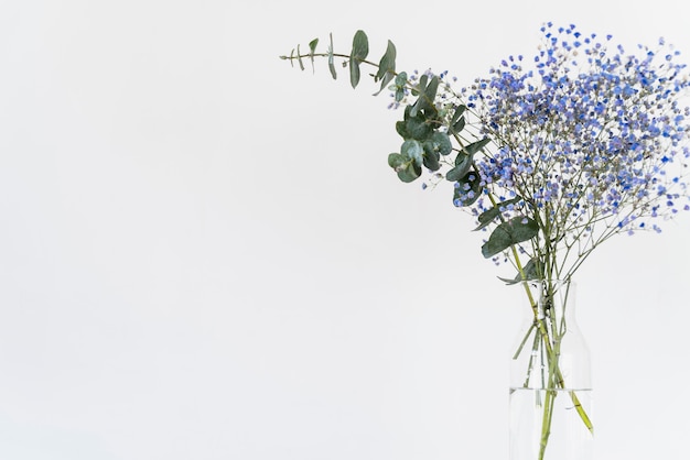 Bando de galhos frescos e plantas em vaso