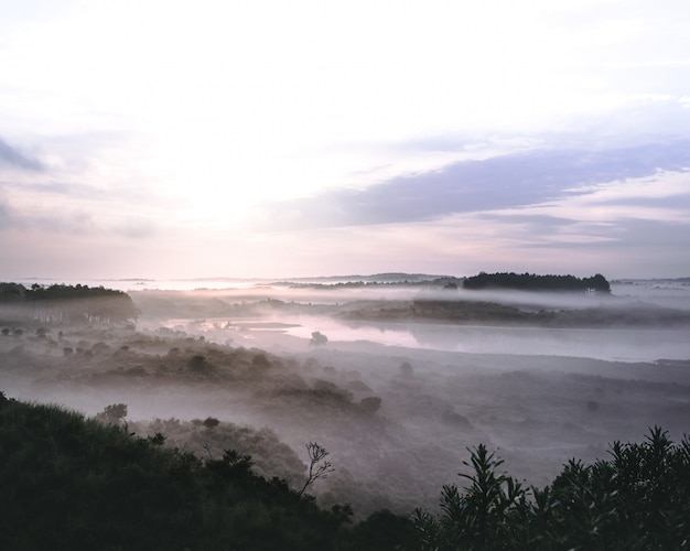 Foto grátis bela paisagem de um rio em uma floresta montanhosa coberta de nevoeiro em zuid-kennemerland