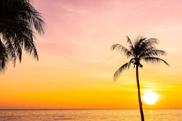 Foto grátis bela paisagem do mar oceano com silhueta de coqueiro ao pôr do sol ou nascer do sol