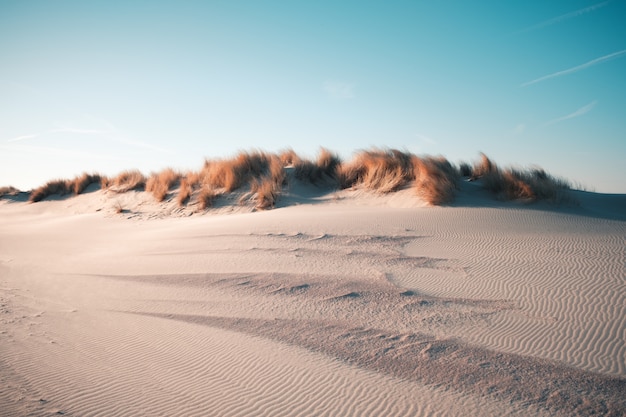 Foto grátis bela vista do deserto sob o céu azul claro capturado em oostkapelle, holanda