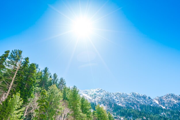 Belas montanhas cobertas de neve, estado da Caxemira, Índia.