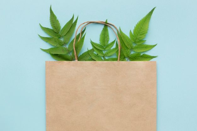 Foto grátis bolsa ecológica com folhas