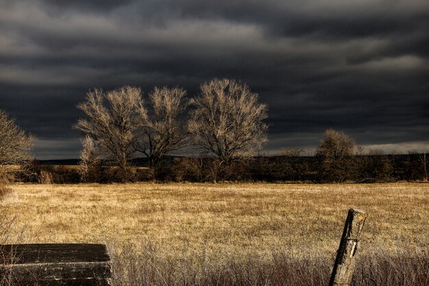 Campo de grama marrom sob o céu preto durante a noite