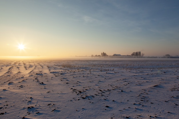 Foto grátis campo nevado vazio com névoa sob um céu azul