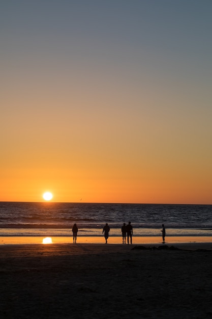 Foto grátis cinco pessoas caminhando na praia durante a hora dourada