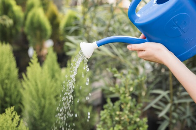 Close-up, de, femininas, aguando, a, plantas, com, lata azul