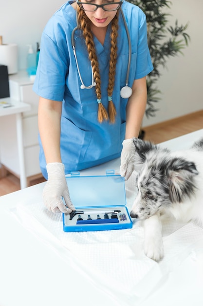 Foto grátis close-up, de, veterinário, abertura, a, caixa otoscope, tabela