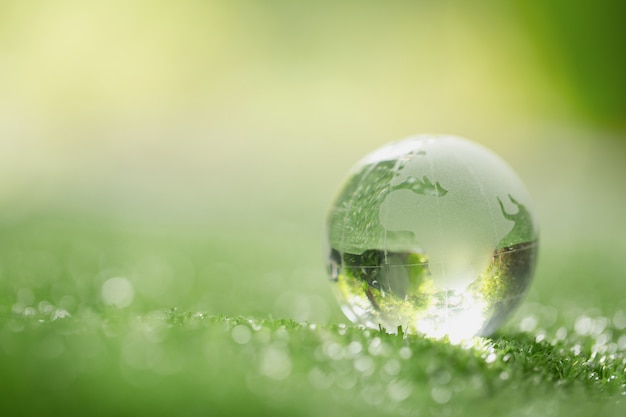 Foto grátis close up do globo de cristal descansando na grama em uma floresta