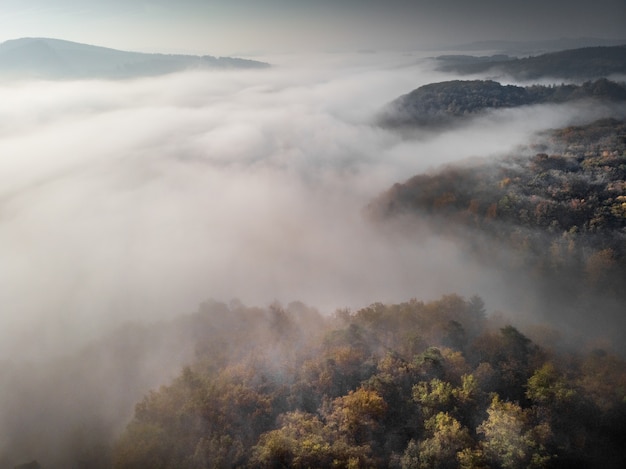 Foto grátis colinas arborizadas, rodeadas de nevoeiro sob um céu nublado