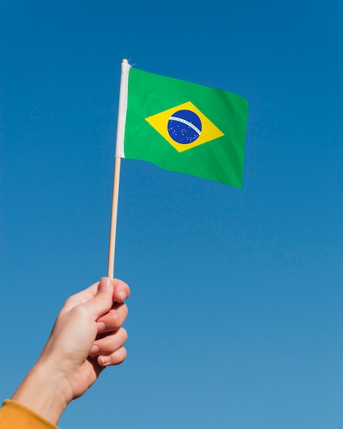 Foto grátis composição da bandeira brasileira