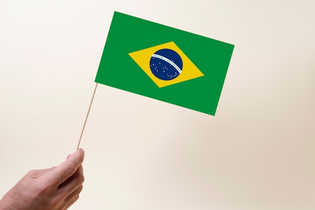 Foto grátis composição da bandeira brasileira