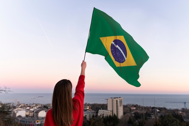 Foto grátis composição da bandeira brasileira