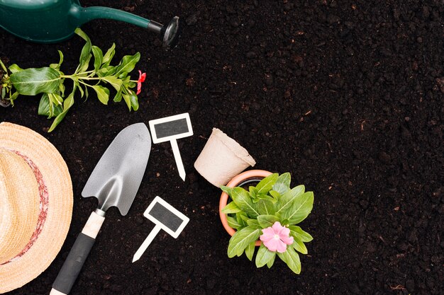 Composição de jardinagem vista superior com espaço de cópia