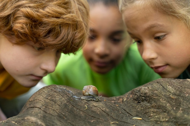 Foto grátis crianças olhando juntas para um caracol