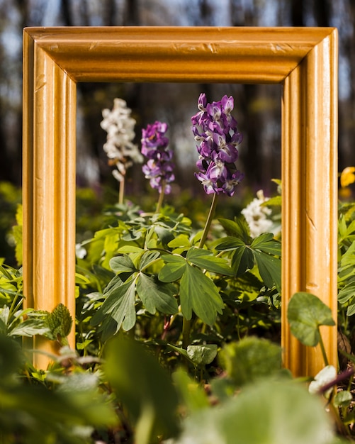 Flores ao ar livre