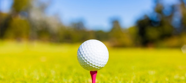 Foco superficial de uma bola de golfe em um tee em um campo