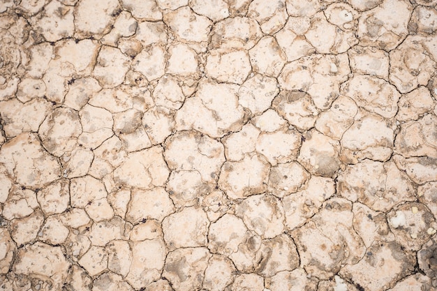 Foto grátis foto de grande angular de textura de terra rachada para um fundo