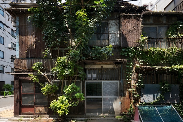 Foto grátis fundo exterior da casa assombrada