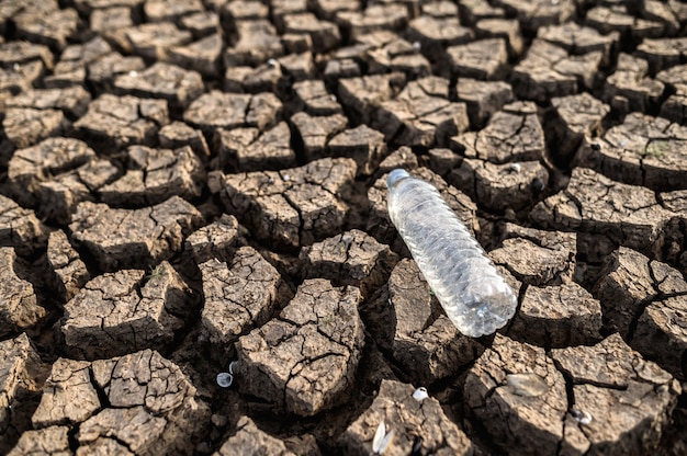 Foto grátis garrafas de água em solo seco com solo seco e rachado, aquecimento global