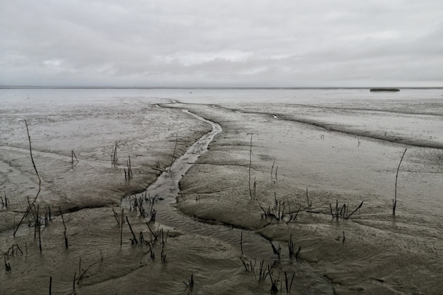 Foto grátis grande plano de lamaçal com céu nublado e cinza