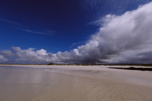 Foto grátis grande plano de uma costa do mar com um campo gramado à distância e nuvens em um céu azul escuro