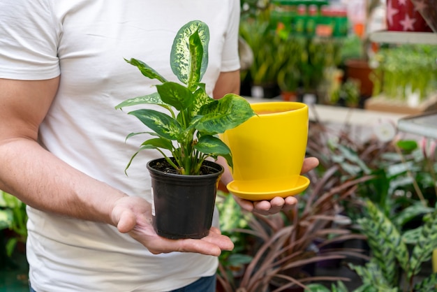 Homem, segurando, planta, e, flowerpot