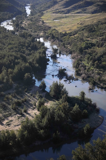 Imagem vertical de um rio de riacho cercado por vegetação