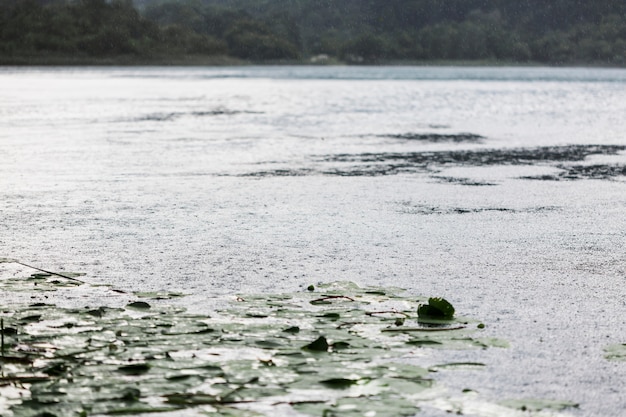 Foto grátis impacto de pingo de chuva na superfície da água ondulante