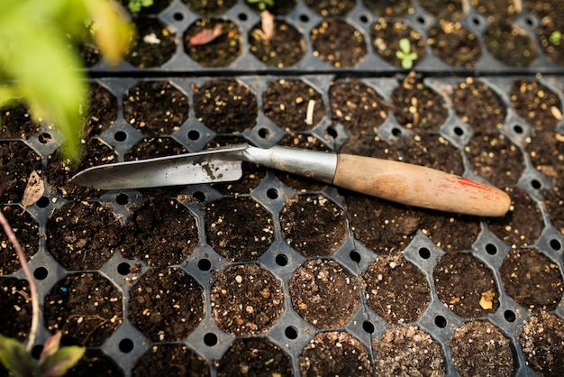 Lança de jardim com mudas em estufa