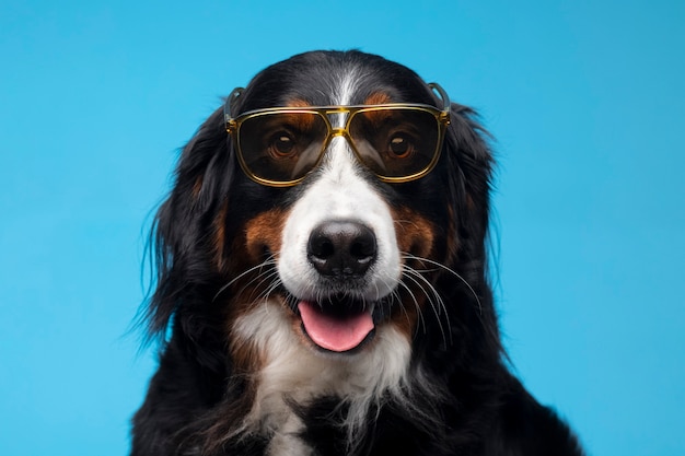 Foto grátis lindo retrato de cachorro