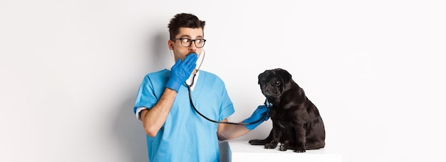 Foto grátis médico chocado na clínica veterinária examinando cachorro com estetoscópio ofegando espantado enquanto um lindo pug preto senta