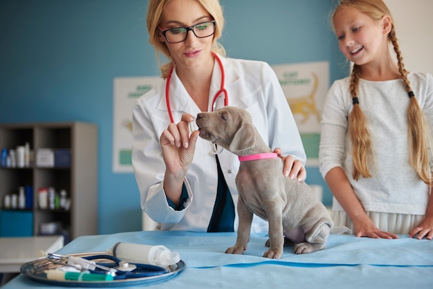 Foto grátis médico dando uma pílula a um cachorro doente