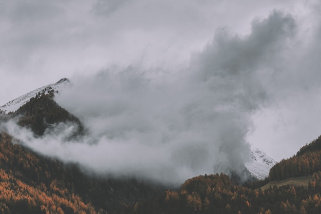 Foto grátis montanha com nevoeiro