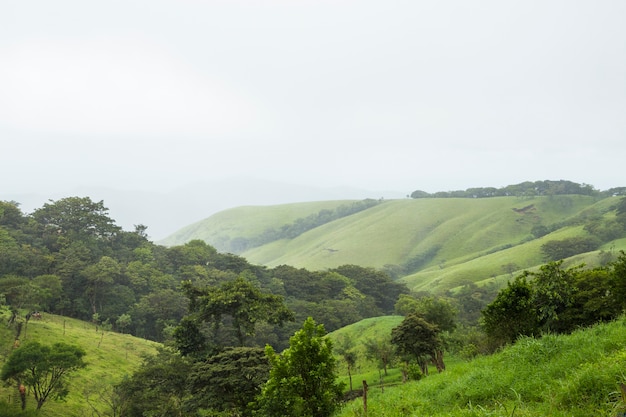 Montanha verde pacífica na costa rica tropical