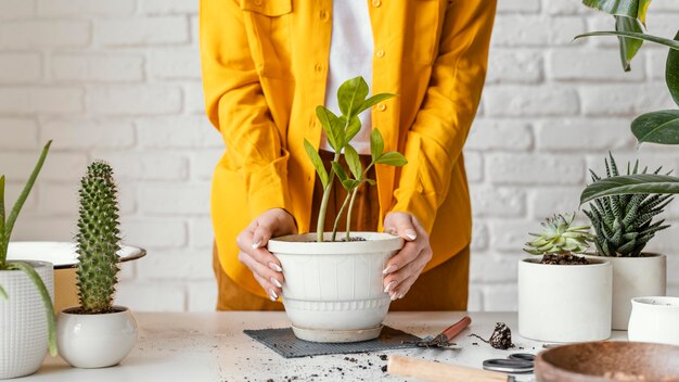 Mulher cuidando de planta em vaso