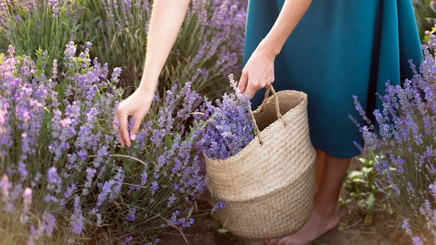 Mulher relaxante no campo de flores