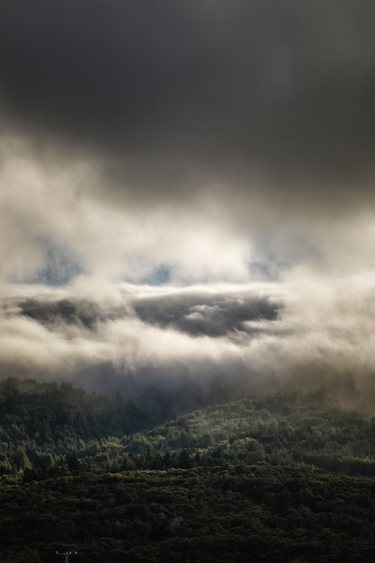 Foto grátis nuvens brancas no céu