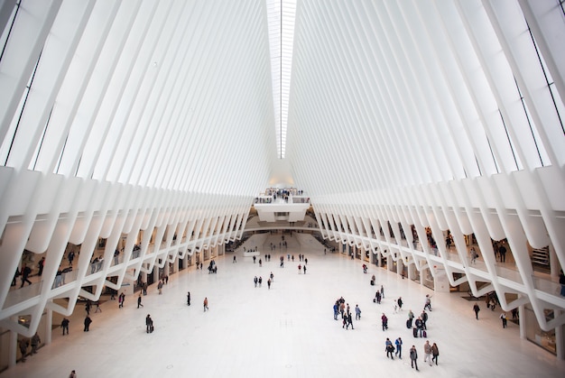 Foto grátis o edifício oculus