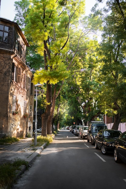 Foto grátis paisagem urbana ensolarada