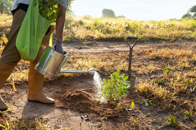 Pessoa plantando árvore na zona rural