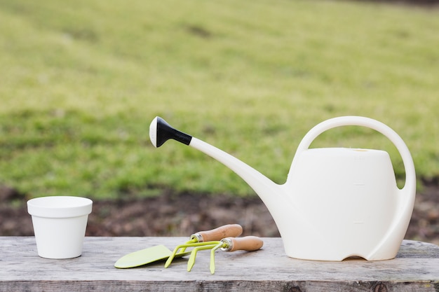 Foto grátis planta e jardim ainda vida