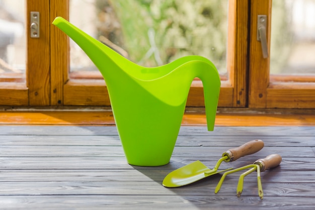 Foto grátis planta e jardim ainda vida