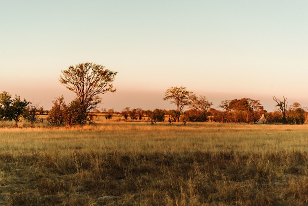 Pôr do sol no Parque Nacional de Hwange, Zimbábue