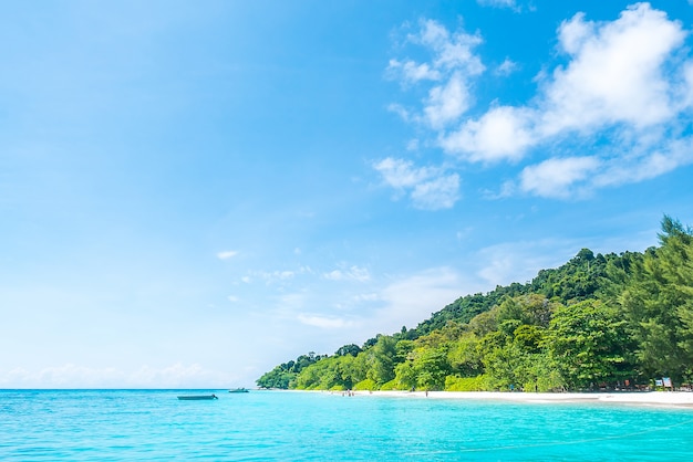 Foto grátis praia idílico com árvores