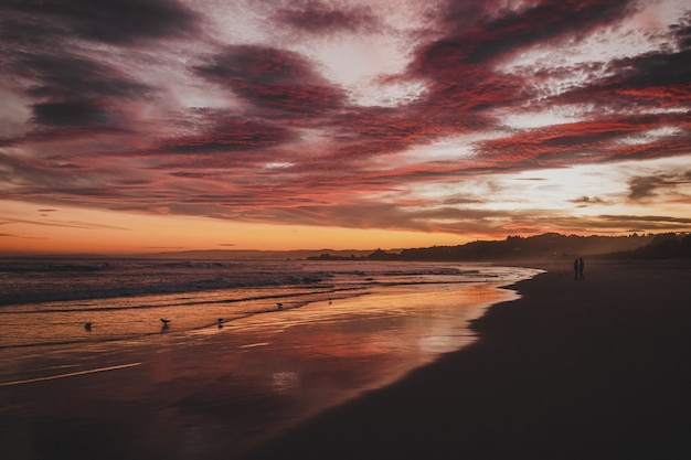 Foto grátis praia rodeada pelo mar sob um céu nublado durante o pôr do sol em brighton, na nova zelândia