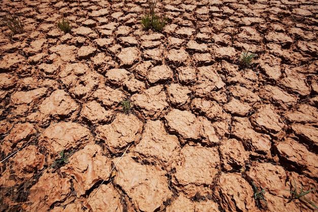 Foto grátis seca