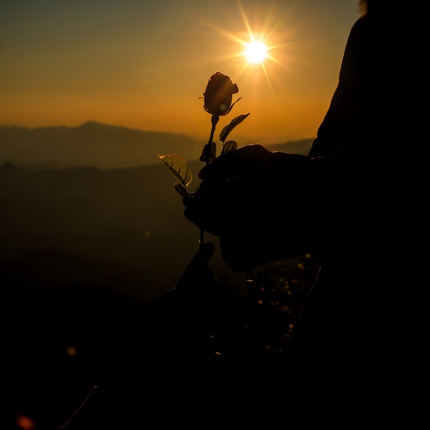 Silueta, de, par, segurando, rosa, ligado, colina, em, a, pôr do sol, tempo, skyline, ligado, fundo